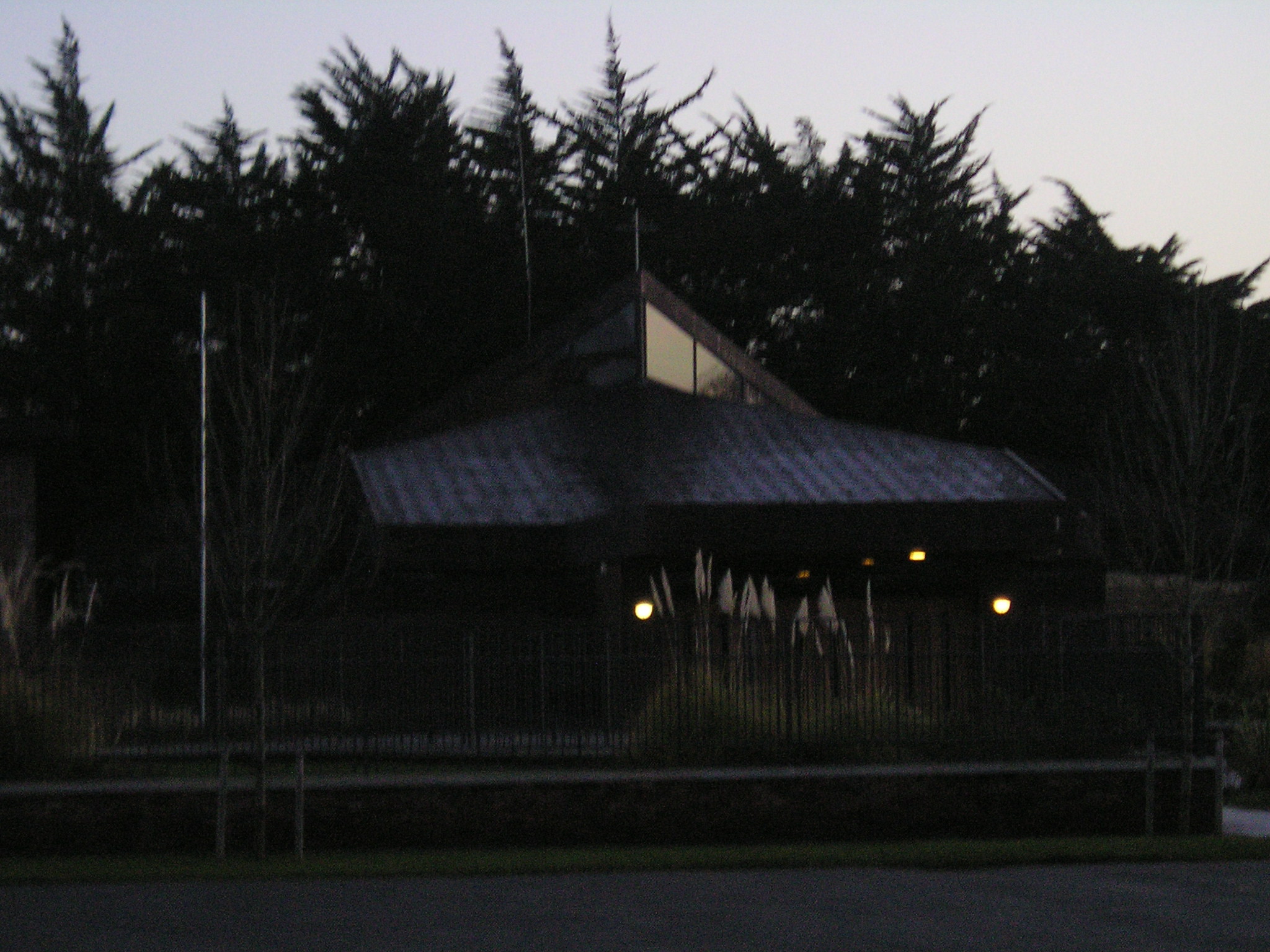 P1010050.JPG