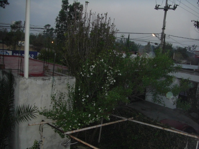 CIMG1271.JPG