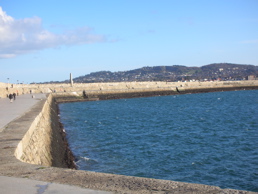 DSCN4497.jpg