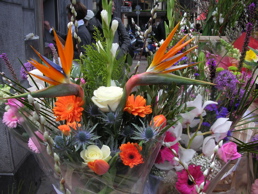 DSCN4560.jpg
