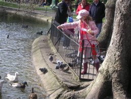 DSCN4566.jpg