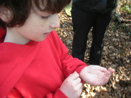 DSCN4657.jpg