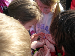 DSCN4675.jpg
