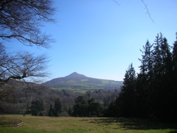 DSCN4706.jpg