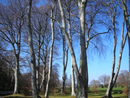 DSCN4707.jpg