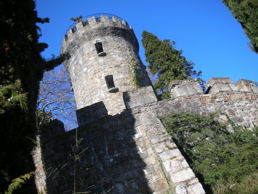 DSCN4722.jpg