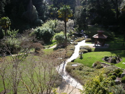 DSCN4728.jpg