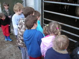 DSCN4790.jpg