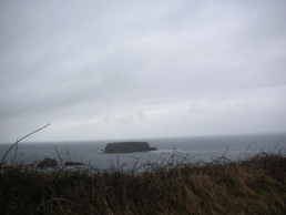 DSCN4806.jpg
