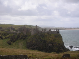 DSCN4834.jpg