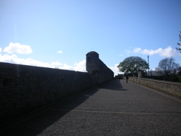DSCN4845.jpg