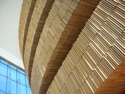 DSCN4930.jpg