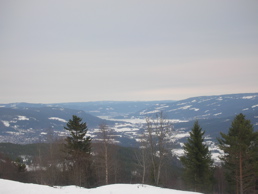 DSCN4942.jpg