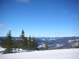 DSCN4957.jpg
