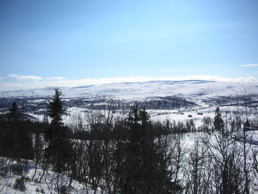DSCN4965.jpg