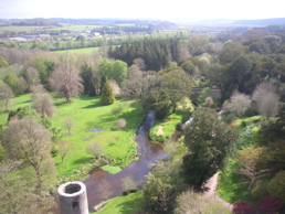 DSCN4994.jpg