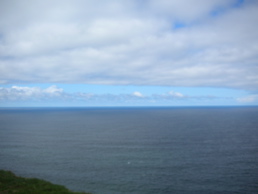 DSCN5050.jpg