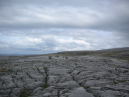 DSCN5076.jpg