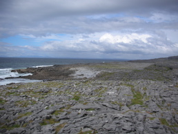 DSCN5097.jpg