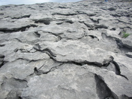 DSCN5098.jpg
