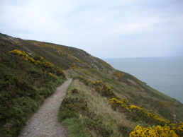 DSCN5120.jpg