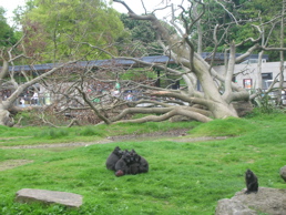 DSCN5141.jpg