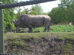 DSCN5152.jpg