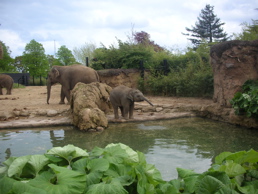 DSCN5158.jpg