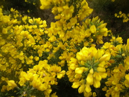 DSCN5173.jpg