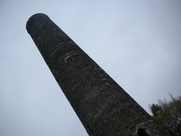 DSCN5177.jpg