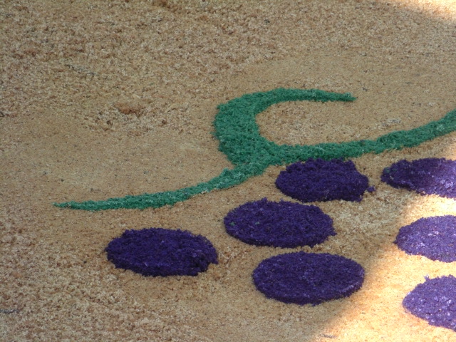 gf%20grape%20closeup.jpg.JPG