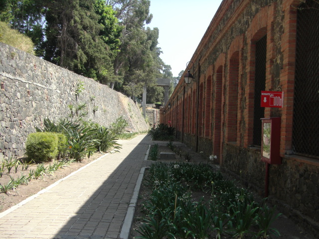 metepec%20path.jpg