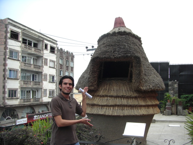 thatch%20house.jpg.JPG